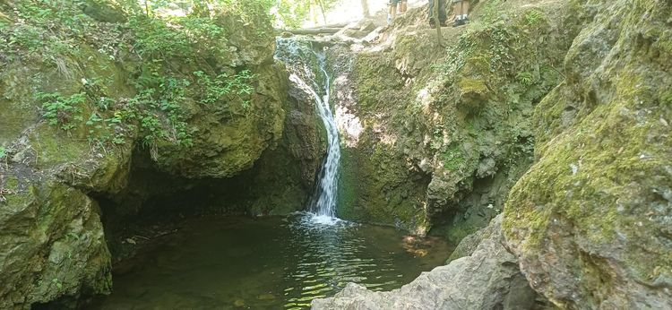 Osztálykirándulás Solymáron