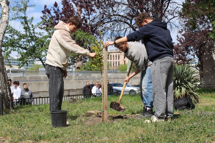 Fenntarthatósági Témahét - fa ültetés