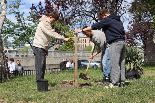 Fenntarthatósági Témahét - fa ültetés